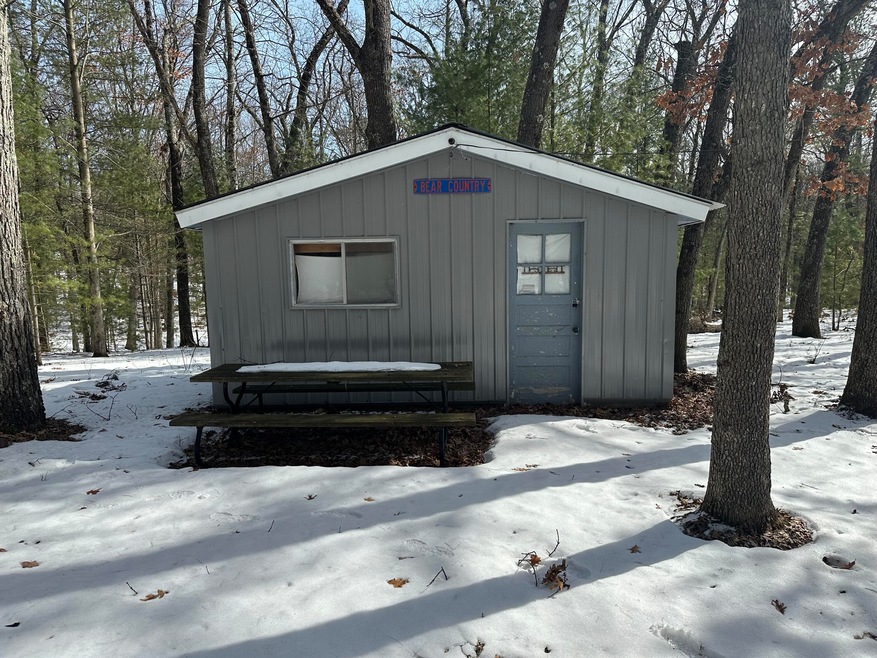 8192 W Cypress Ave, Baldwin, MI 49304 - photo 1