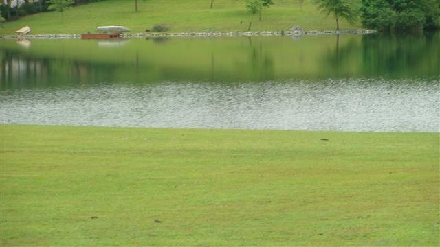 2 Little Loop unit Fiddlers Cove, Tamassee, SC 29686 - photo 1