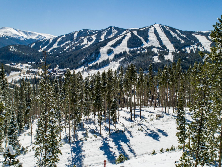 24 Cub Creek Way Lot 1, Winter Park, CO 80482 - photo 1
