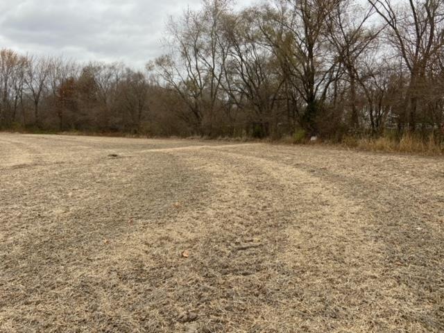 North boundary wooded area