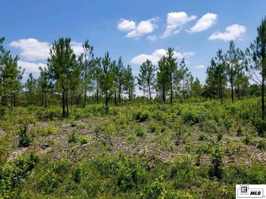 0 Louisiana 139 unit Tract 6, Monroe, LA 71203 - photo 1