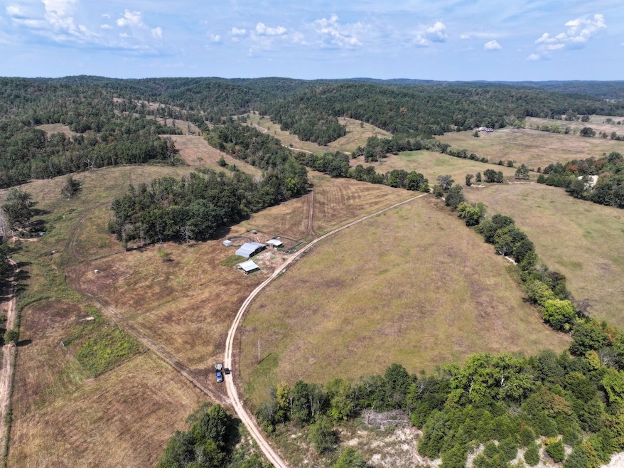 0 County Road 330 unit Lot WP001 24823610, Redford, MO 63665 - photo 1