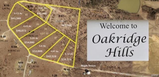 39 Ridge Top Dr, Farmington, MO 63640 - photo 1