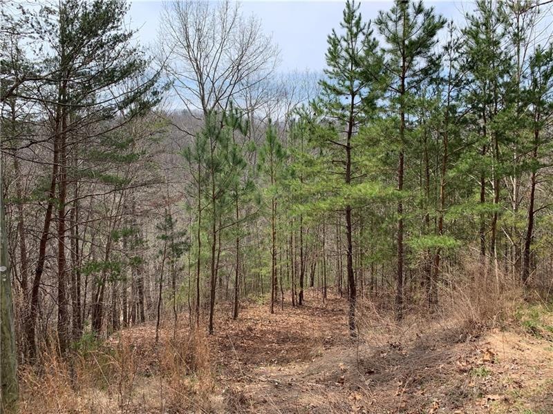 145 Jasmine Dr, Ranger, GA 30734 - photo 1