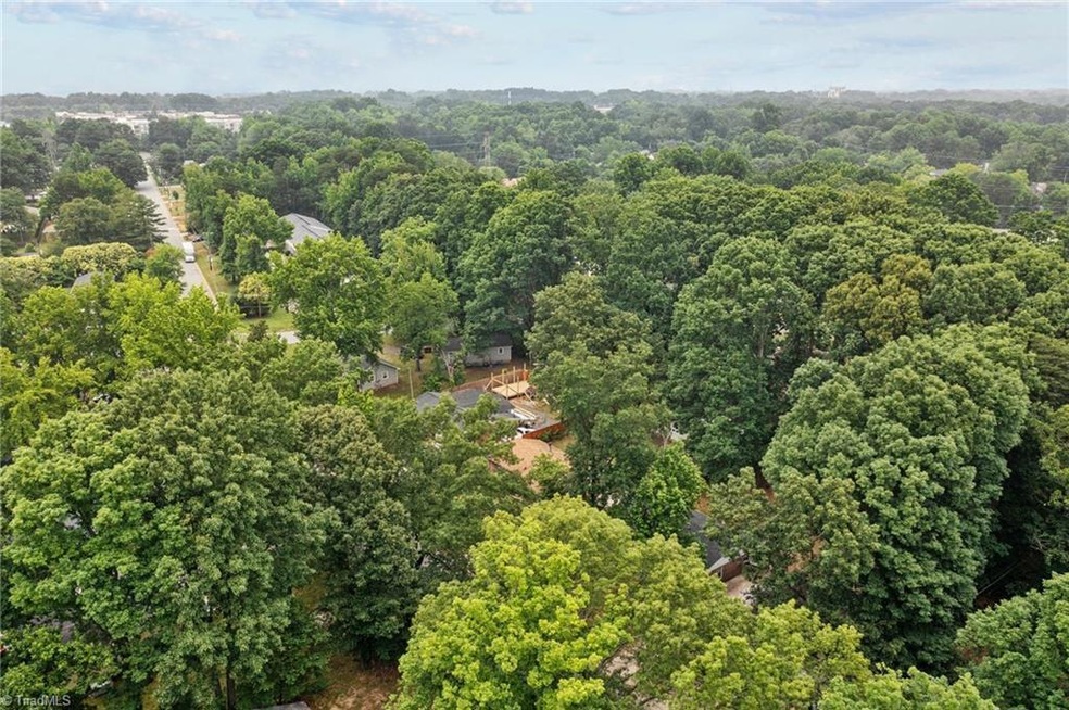 403 Chatham View Rd, Ramseur, NC 27316 - photo 1