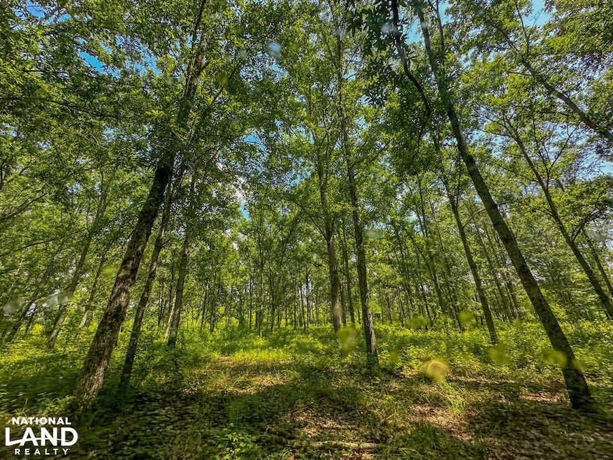 0 Peach Orchard Rd, Brent, AL 35034 - photo 1