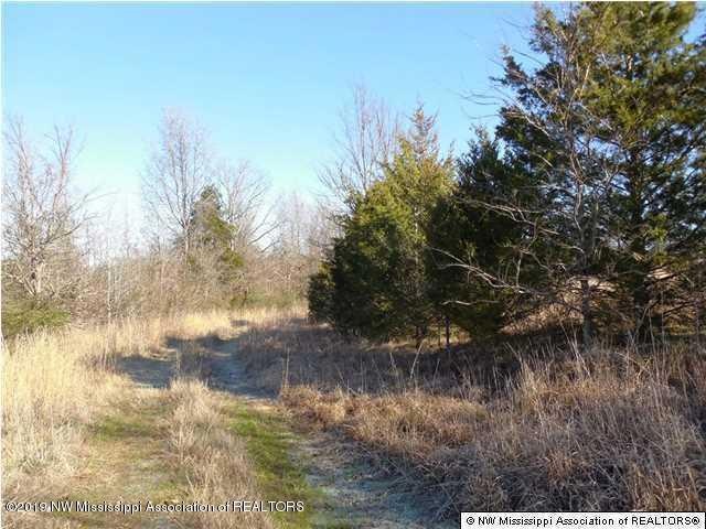 10 acres Sycamore Road photo 4