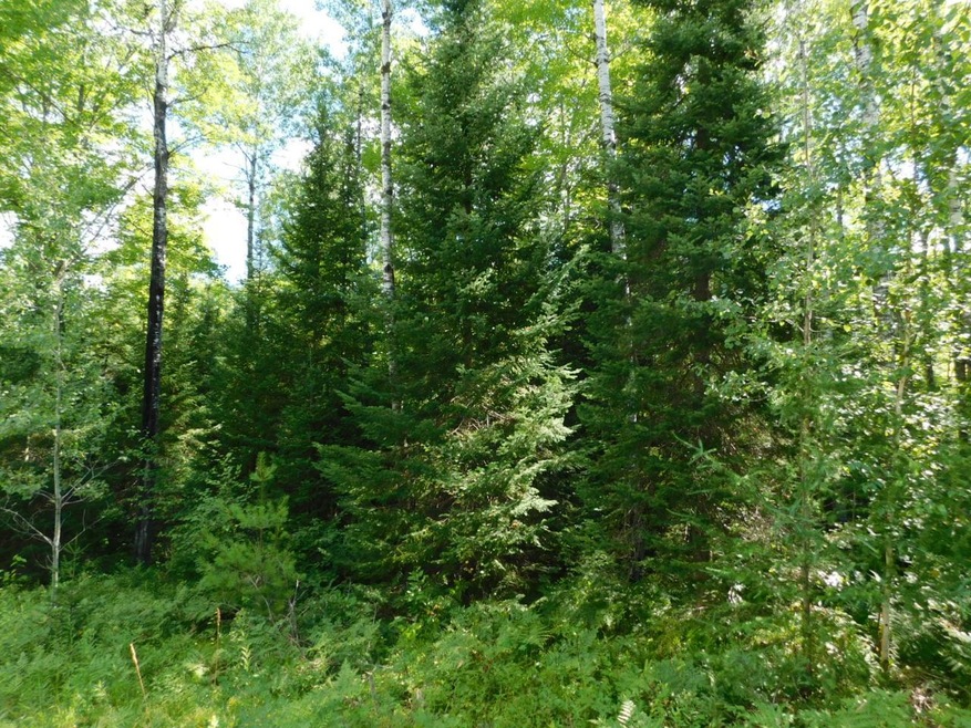 Lot 2 Sanctuary Rd, Tomahawk, WI 54487 - photo 1