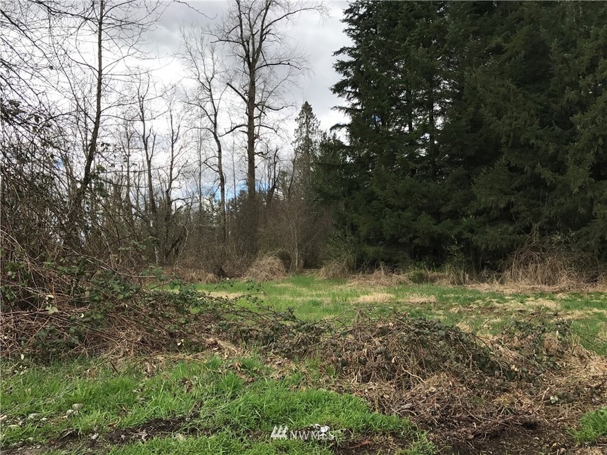 unlisted-address, Graham, WA 98338 - photo 1