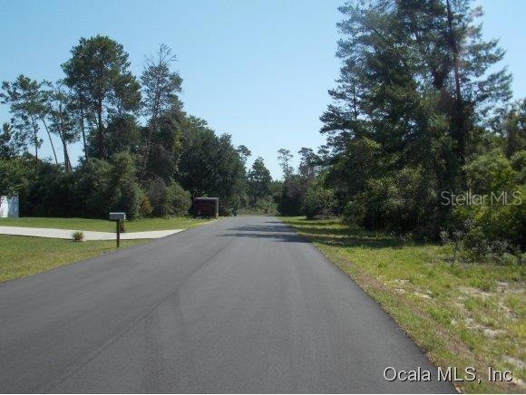 0 SW 161 Loop unit MFROM407947, Ocala, FL 34473 - photo 1