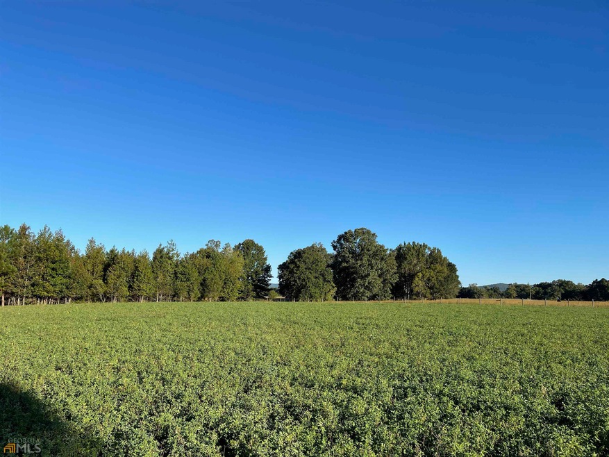 0 Morton Bend Rd SW unit 20076238, Rome, GA 30161 - photo 1
