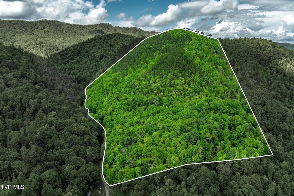 TBD Fire Tower Road (1 of 22)