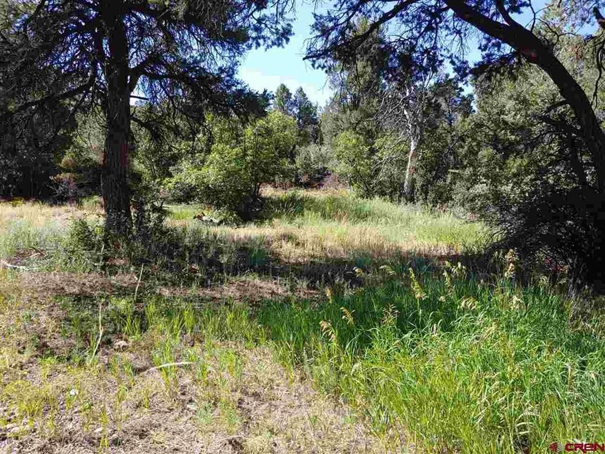 0 Timothy Rd, Cedaredge, CO 81413 - photo 1