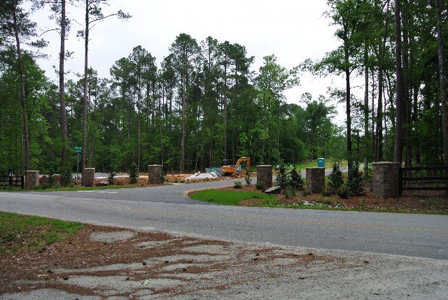 Main View