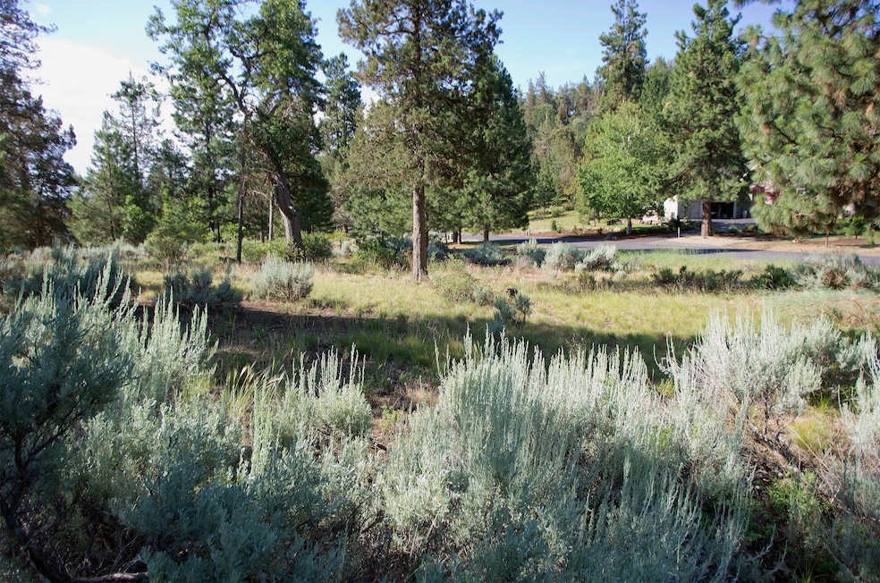 Lot03