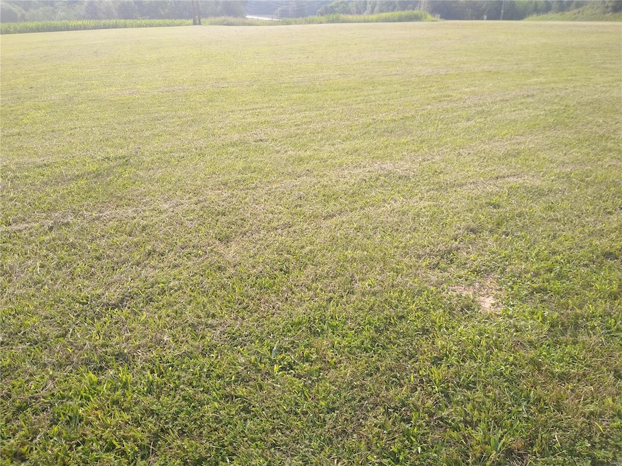 0 Victorian Dr unit A MAR24046752, Steeleville, IL 62288 - photo 1