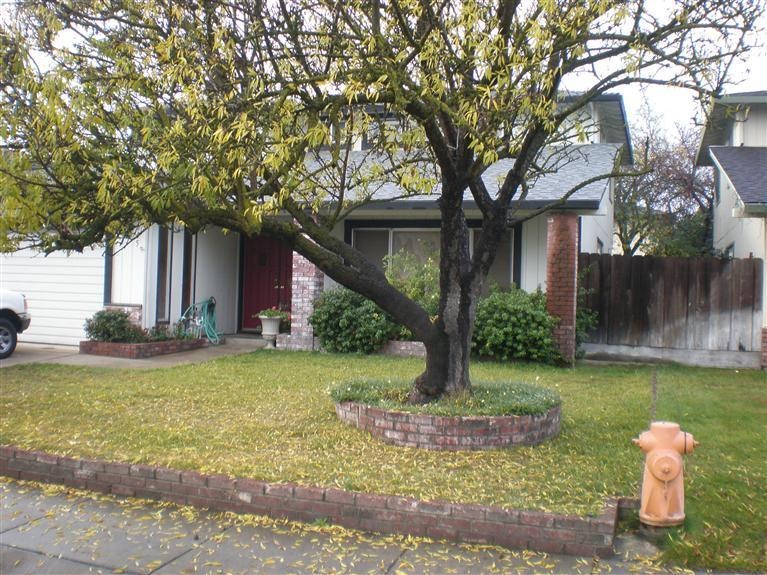 1045 Hatchcover Place, Manteca, CA 95337 - photo 1