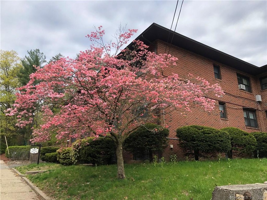 325 Fountain St unit 3B, New Haven, CT 06515 - photo 1