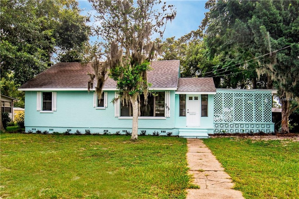 703 N Saint Clair Abrams Ave, Tavares, FL 32778 - photo 1