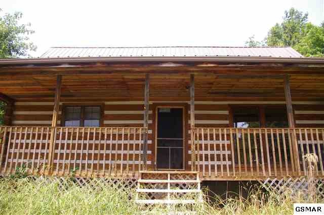 Main View