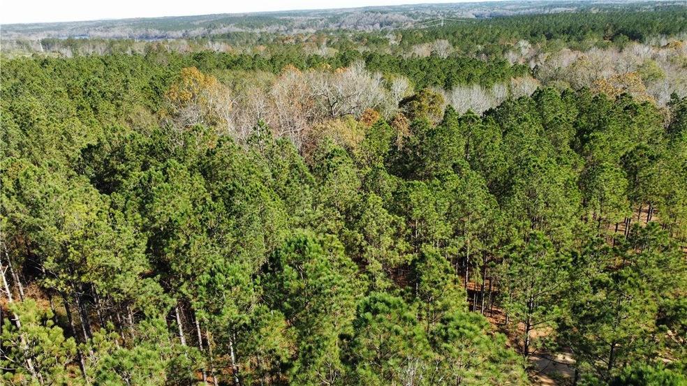 1 Lee Road 333, Salem, AL 36874 - photo 1