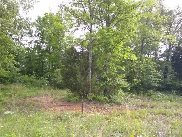 117 Shanna Ln, Shelbyville, TN 37160 - photo 1