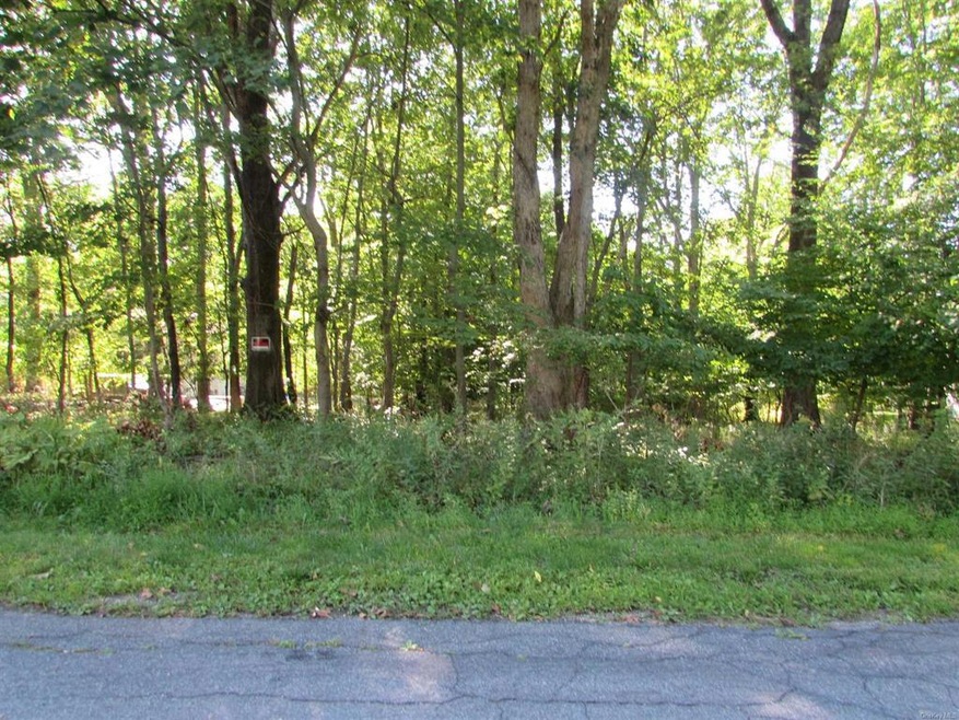 0 Johnson Rd unit 404733, Dover, NY 12594 - photo 1