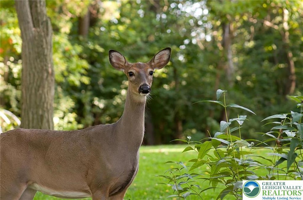 169 Yellow Run Rd, Jim Thorpe, PA 18229 - photo 1