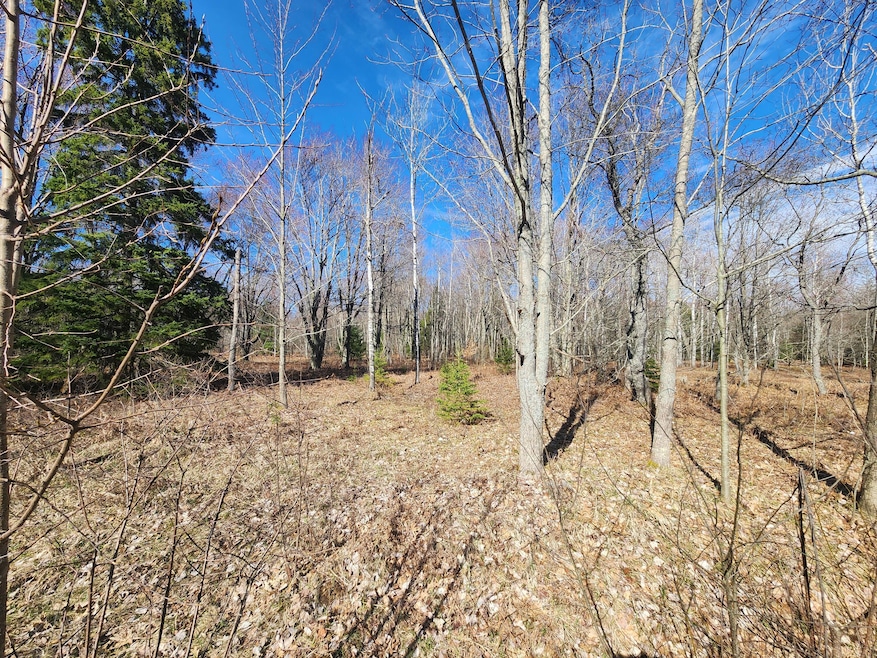 Lot 1829 Sandpiper Trail, Otsego Lake Township, MI 49735 - photo 1