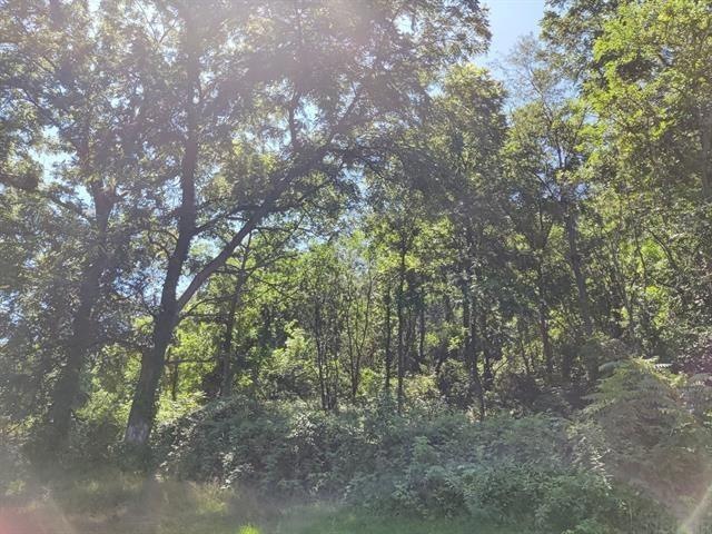 0 Valley St, Lansing, IA 52151 - photo 1