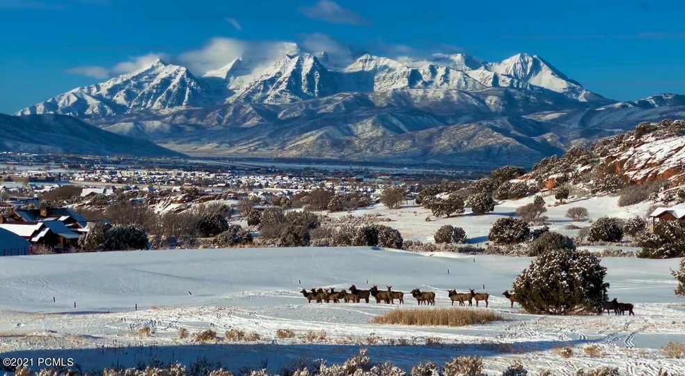 deer with the timpanogos in the back gro