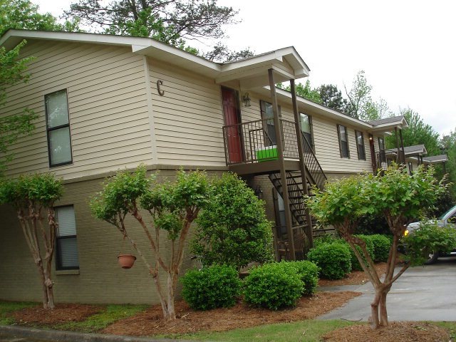 Main View