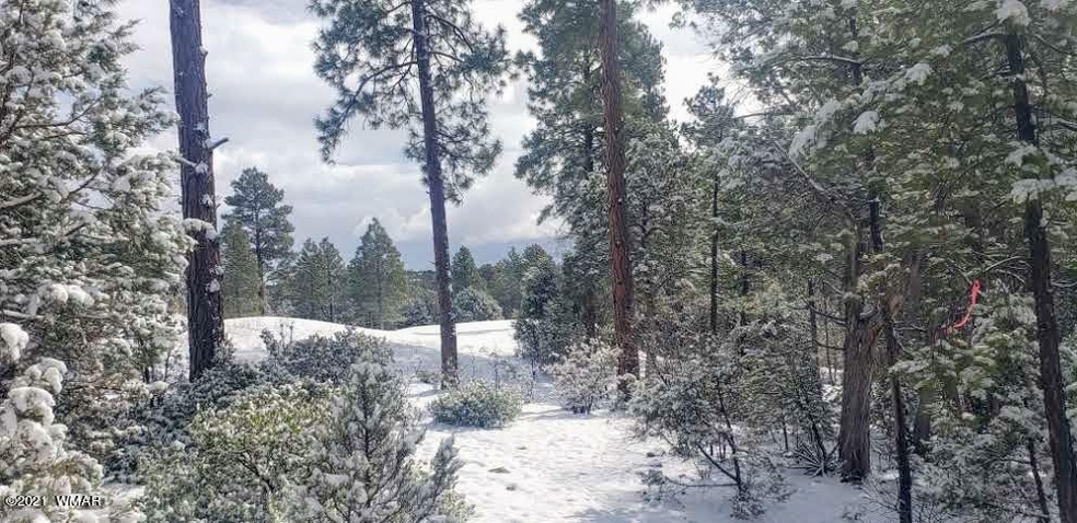 View of Golf Green