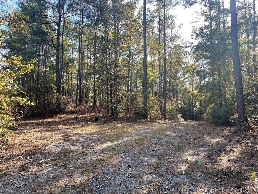 TBD White Rock Rd, Vass, NC 28394 | MLS# 712698