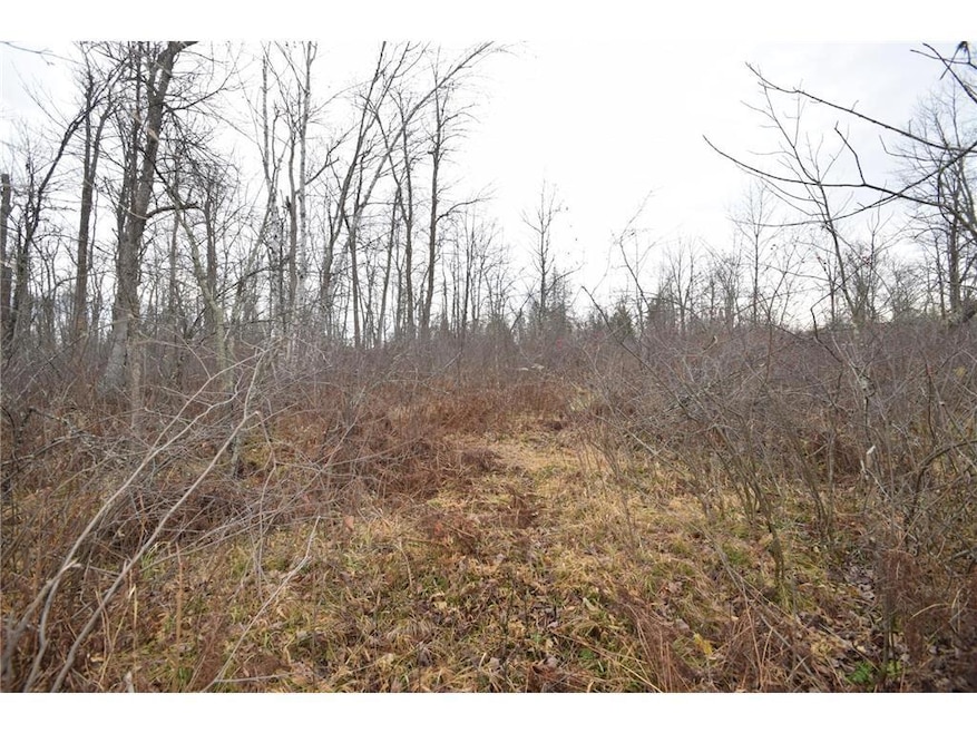 0 Cummings Rd, Dairyland, WI 54830 - photo 1