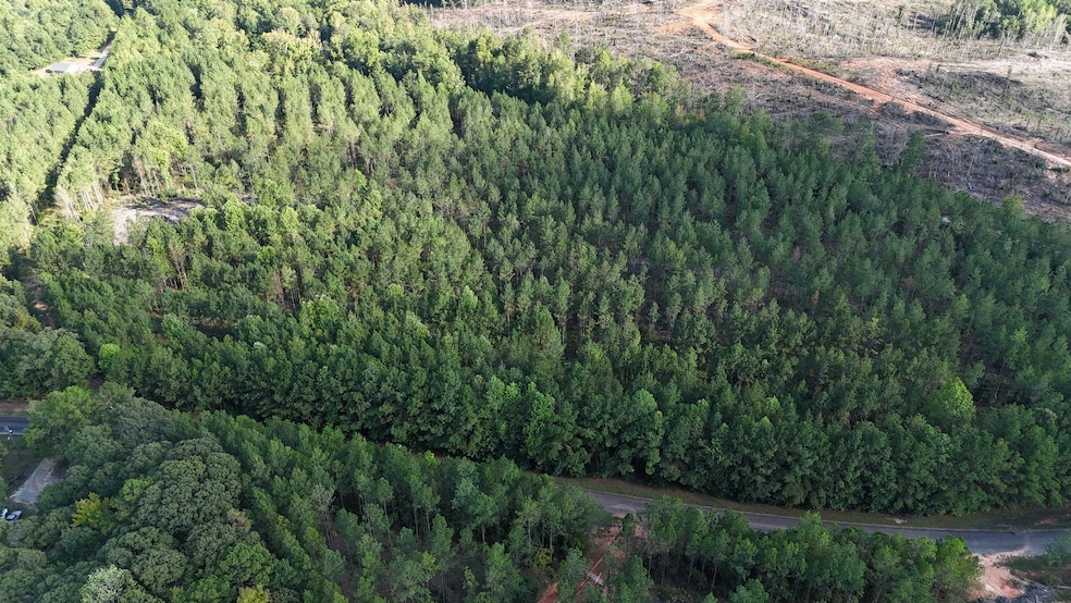 Plesant Rd, Camp Hill, AL 36850 - photo 1