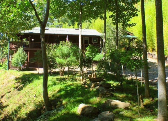 Main View