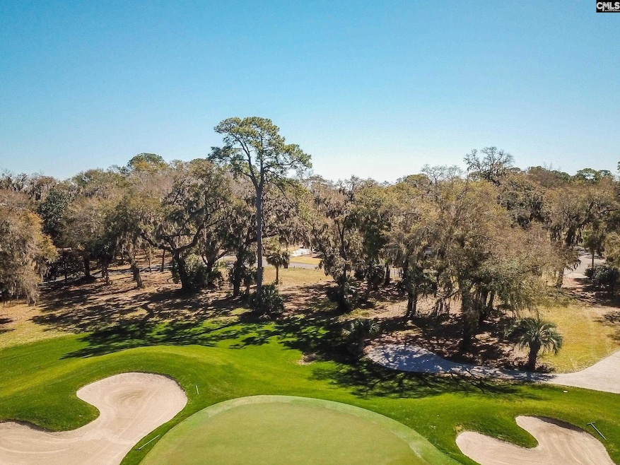 18 Tabby Cir, Daufuskie Island, SC 29915 - photo 1