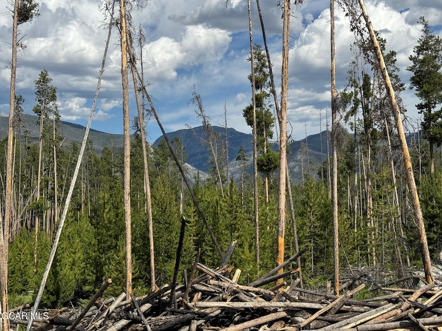TBD Gcr 471 #4, Grand Lake, CO 80447 - photo 1