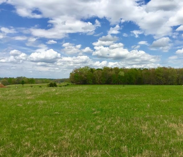 0 W Netherland Rd, Cookeville, TN 38506 - photo 1