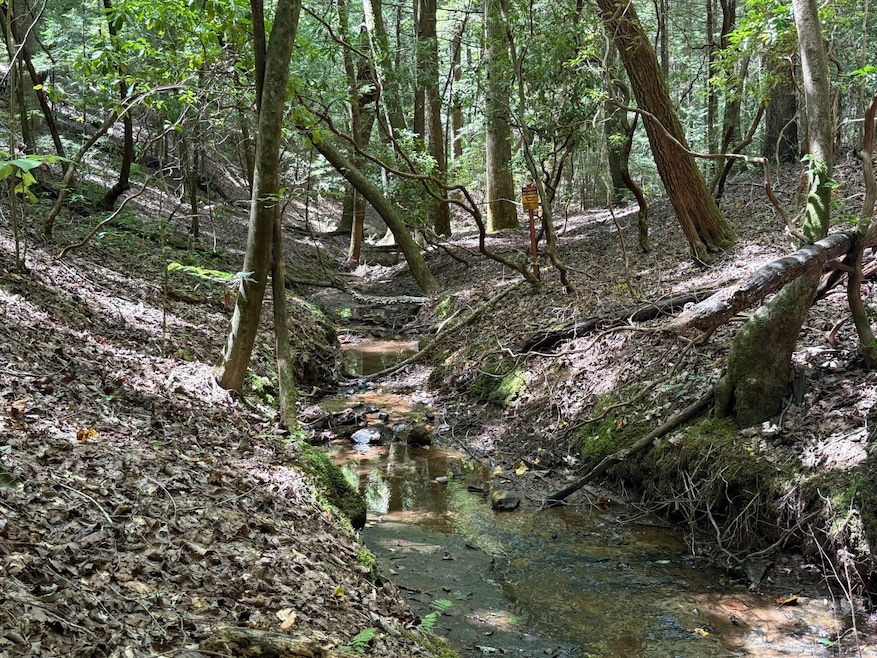 Crockett Rd, Haleyville, AL 35565 - photo 1