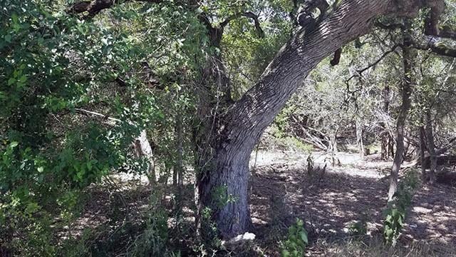 Sold • Co-Listing Agent