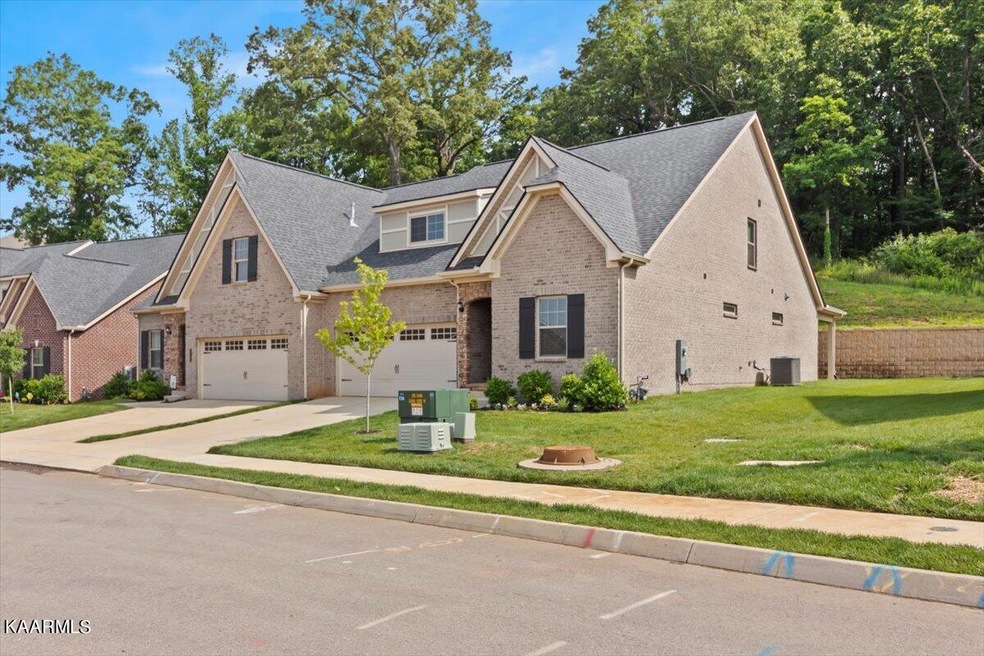 01-2538Sugarberry_190