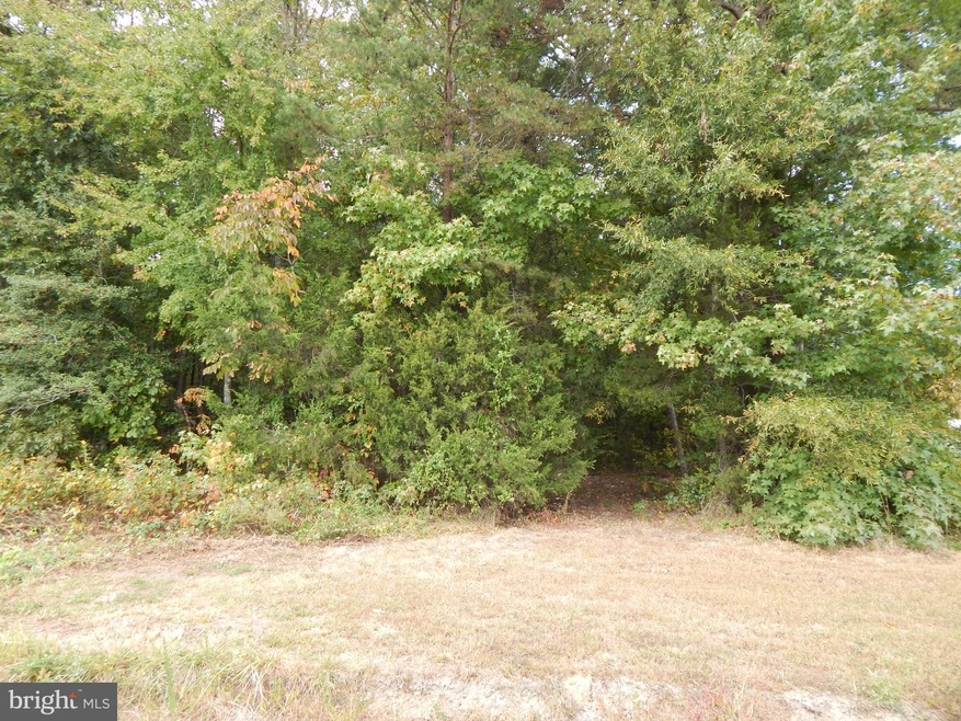 6509 Lawyers Rd, Spotsylvania, VA 22551 - photo 1