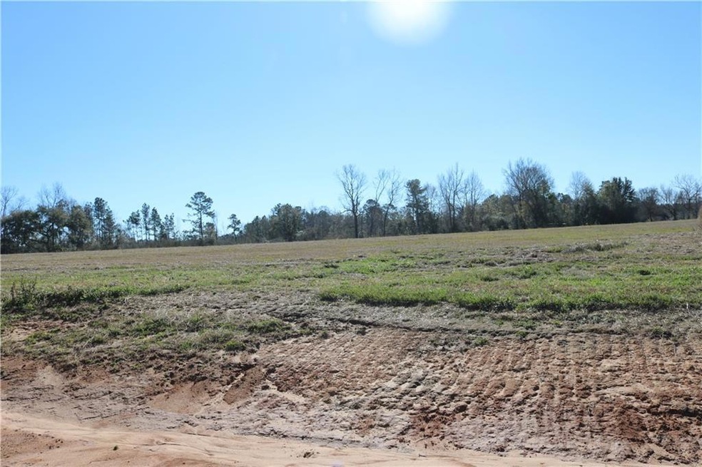 Lot 7 Zack Magee Rd, Franklinton, LA 70438 - photo 1
