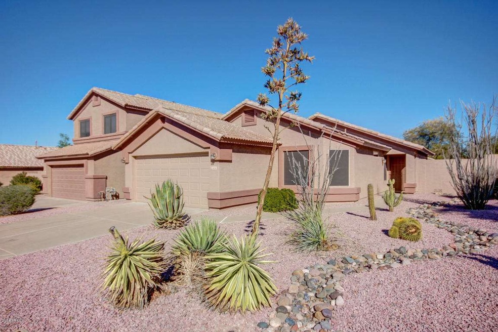 Desert Landscaping