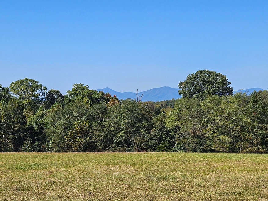 5 acres with Peaks of Otter views