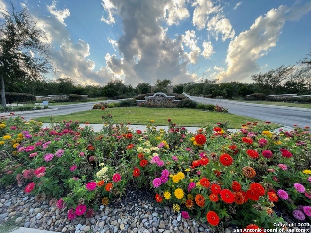 10535 Kendall Canyon, San Antonio, TX 78255 - photo 1