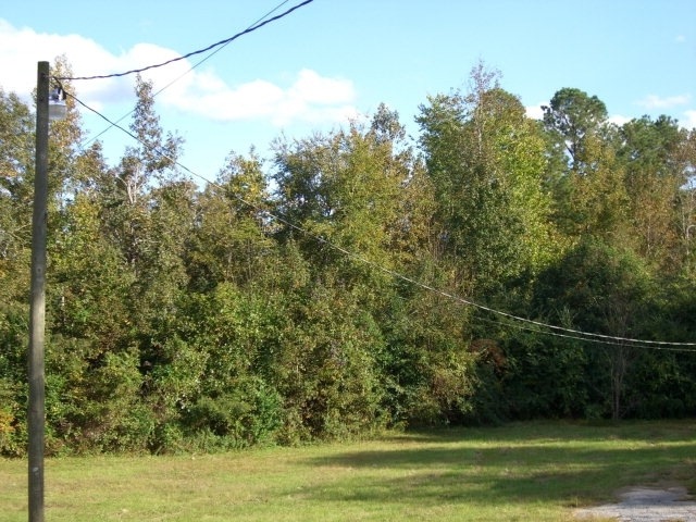Primary Photo