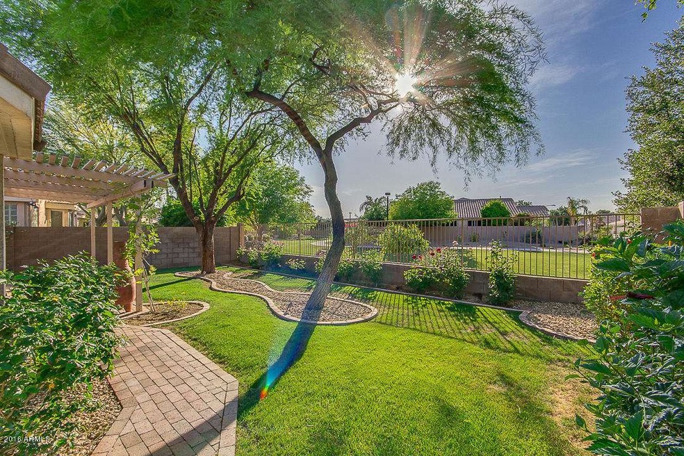 Backyard View